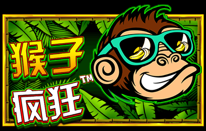 精彩网官网下载安装手机版